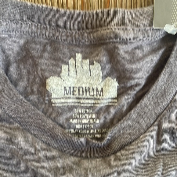 NWT Men’s Boston Skyline gray tee shirt - Size M - Picture 3 of 4